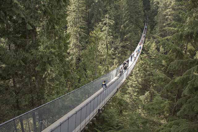 Capilano Bridge Vancouver