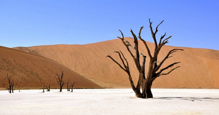 Mietwagen Namibia Preisvergleich