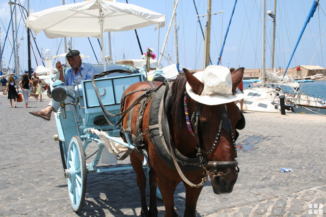 Kutsche mit Pferd auf Kreta