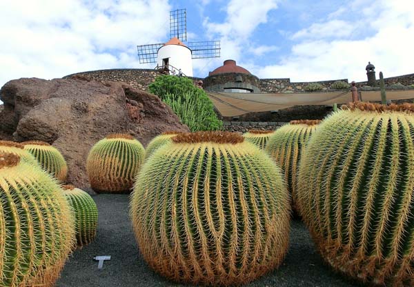 Mehr über den Artikel erfahren Mietwagen Lanzarote