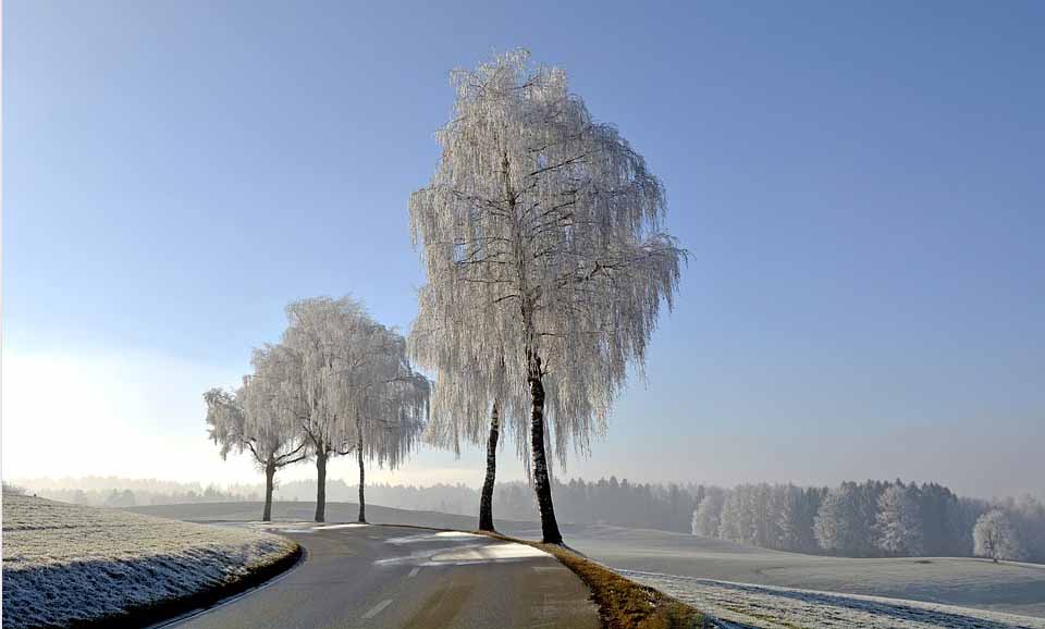 Strasse im Winter