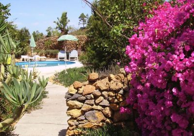 Kanarische Inseln Mietwagen Pool