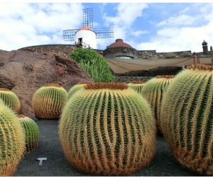 ietwagen Lanzarote Preisvergleich