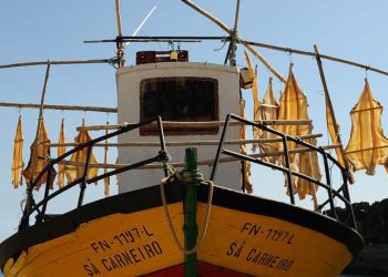Boot mit Trockenfisch Mietwagen-Preisvergleich Madeira