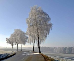 Strasse im Winter