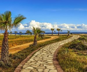 Wegn mit Palmen und Himmel au Zypern